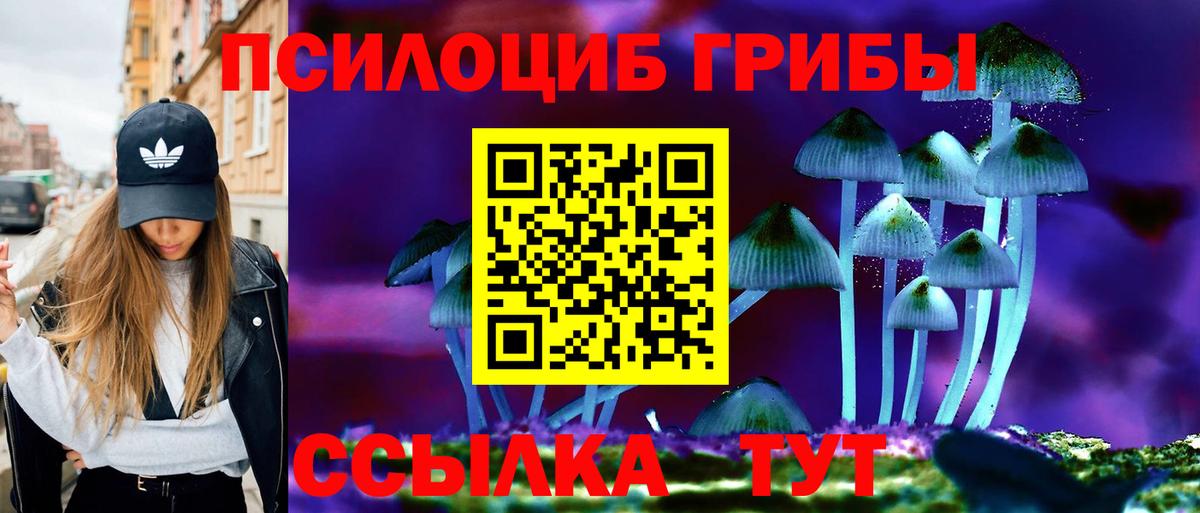 Ишим  Псилоцибиновые грибы прущие грибы  Вход с VPN  Галлюциногенные грибы Magic Shrooms 